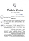 Vista preliminar de documento RD N° 245-2024
