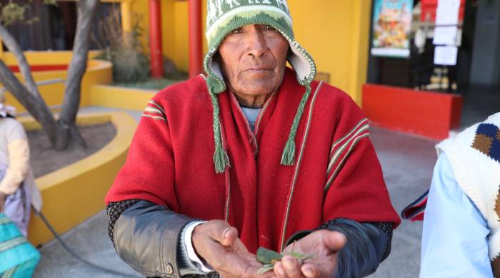 Vicente 4