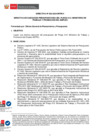 Vista preliminar de documento DIRECTIVA N  002-2004-MTPE EJECUCIÓN PRESUPUESTAL