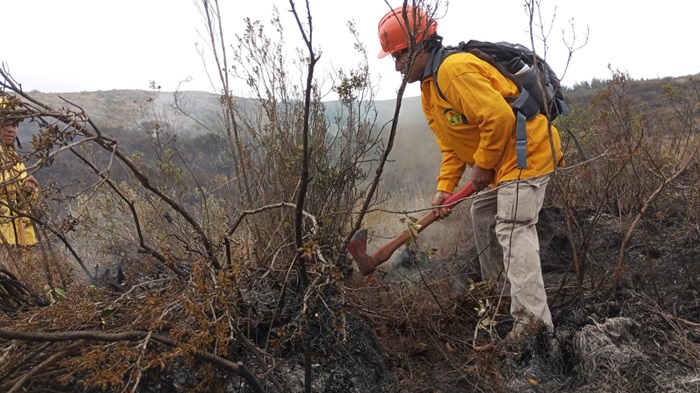incendio ayacucho