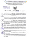 Vista preliminar de documento Resolución Directoral. N° 2033 - 2024 
