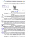 Vista preliminar de documento Resolución Directoral. N° 2038 - 2024 