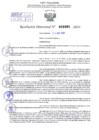 Vista preliminar de documento Resolución Directora. N° 2065 - 2024 