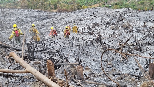 incendio pampa hermosa
