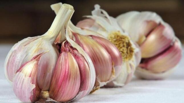 •	Se registró el ingreso de más de 9 mil toneladas de productos entre frutas y verduras  