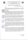 Vista preliminar de documento Resolucion460_2022