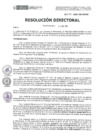 Vista preliminar de documento RD-249-2024-DE-HEVES