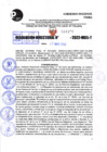 Vista preliminar de documento R.D 1277-2022
