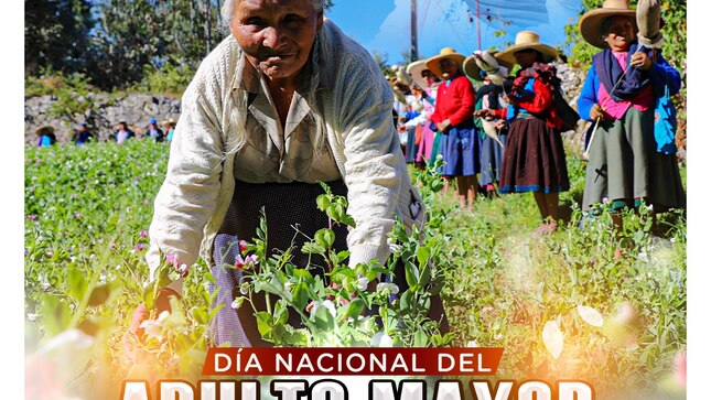 Día nacional del adulto mayor