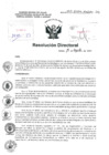 Vista preliminar de documento R.D. N° 353-2024-HNDAC-DG pdf