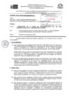 Vista preliminar de documento Documentos sustentatorios