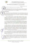 Vista preliminar de documento RA_124_2024_MDI
