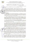 Vista preliminar de documento RA_173_2024_MDI