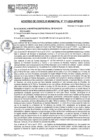 Vista preliminar de documento ACM24N171