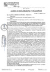 Vista preliminar de documento ACM24N176