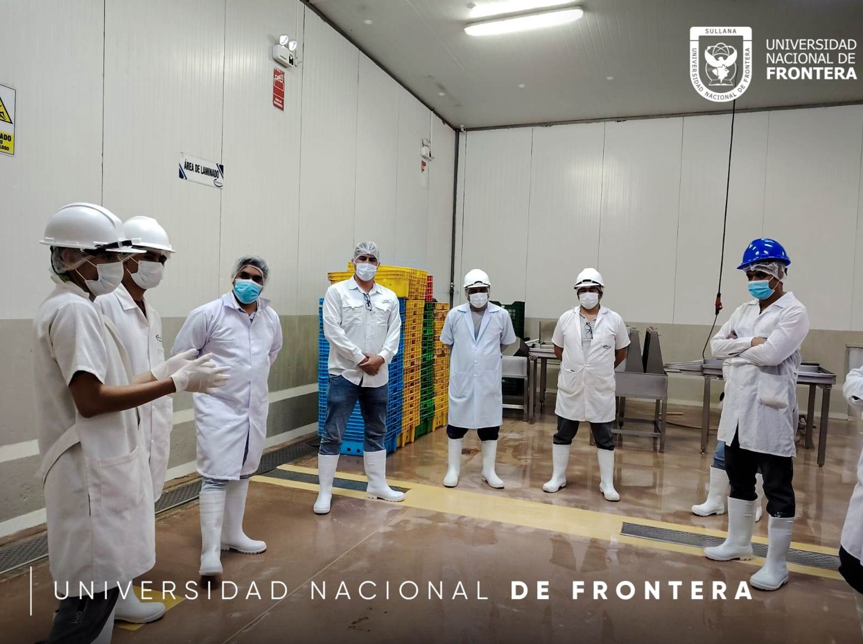 EGRESADOS DE LA UNF VISITAN EMPRESA PESQUERA DE PAITA 