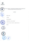 Vista preliminar de documento ANEXO - ORDENANZA N° 508-2024-MDCH