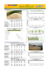 Vista preliminar de documento Boletín de abastecimiento y precio del ARROZ - 26/08/2024