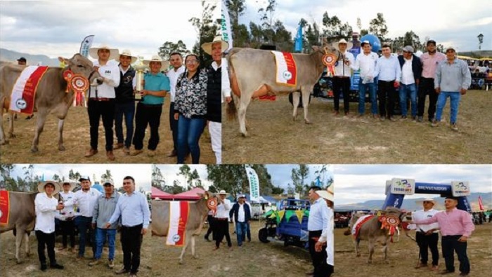 I. FERAGRO 4