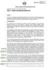 Vista preliminar de documento RDE-000201-2024-DE