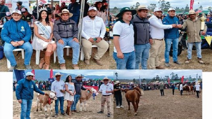 JUZGAMIENTO