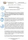 Vista preliminar de documento RESOLUCION N°29