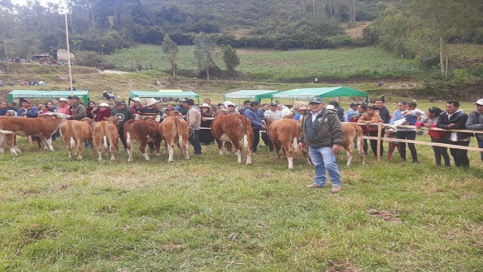 STA CATALINA2