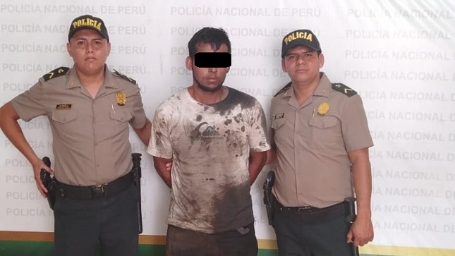 PNP