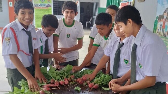 Biohuertos escolares