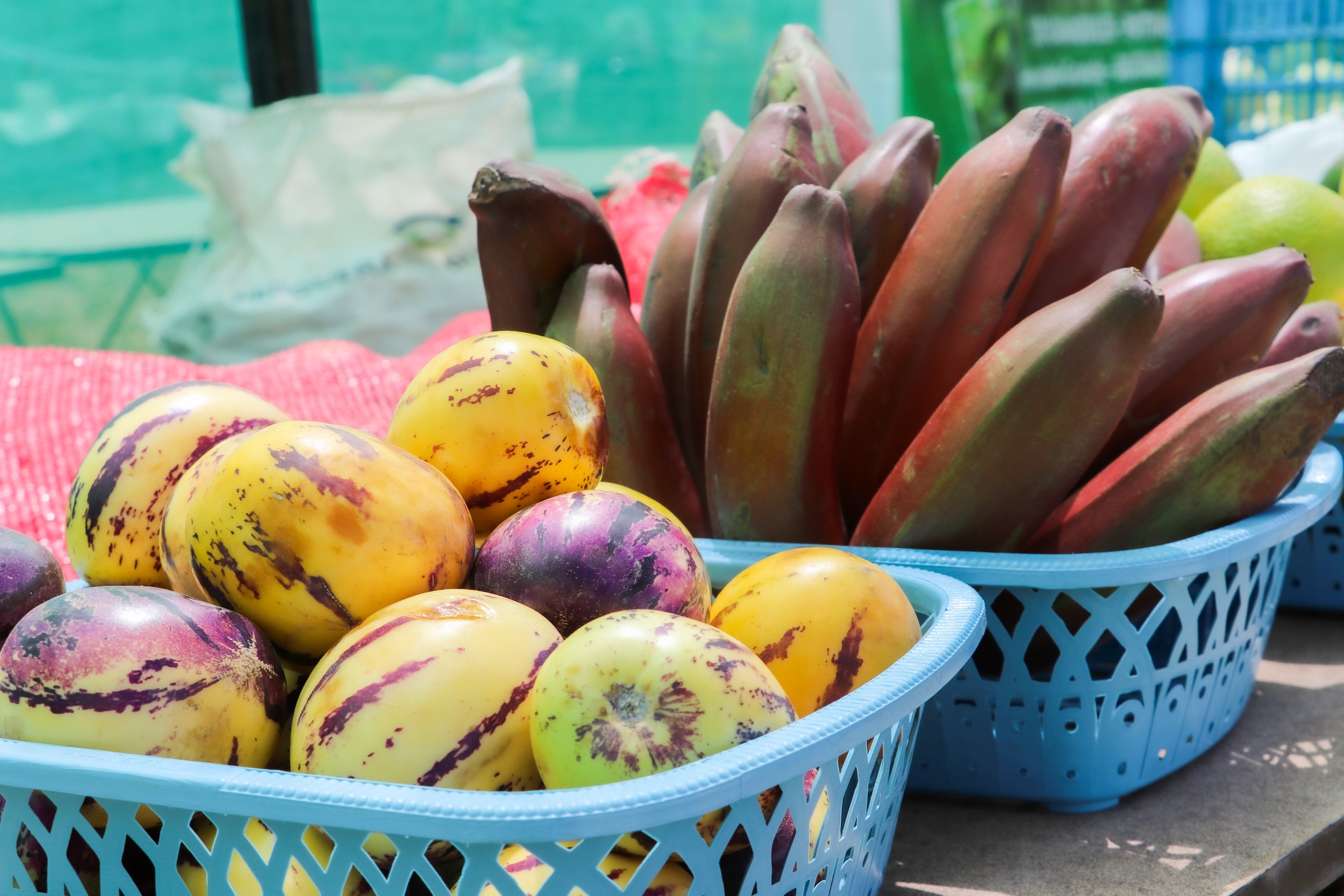 Sartimbamba en la feria agropecuaria Huamachuco 2024