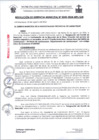 Vista preliminar de documento RG0242-2024
