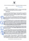 Vista preliminar de documento RDR N 236-08262024130828