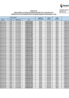 Vista preliminar de documento ROA_165-2024-MTC_24.07 [F]_Anexos