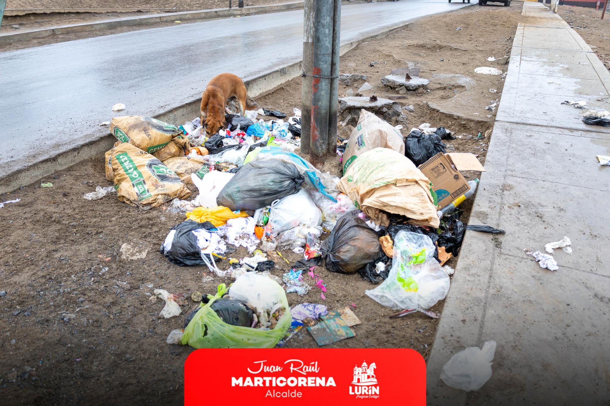 Archivo de JPG sobre una publicación del área de imagen