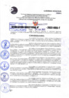 Vista preliminar de documento R.D 1390-2022