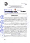 Vista preliminar de documento R.D 1391-2022