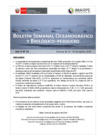Vista preliminar de documento BS OBP N°34 2024
