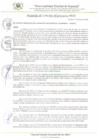 Vista preliminar de documento AC_073_2024_MDI
