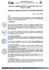 Vista preliminar de documento Rsg029-2024