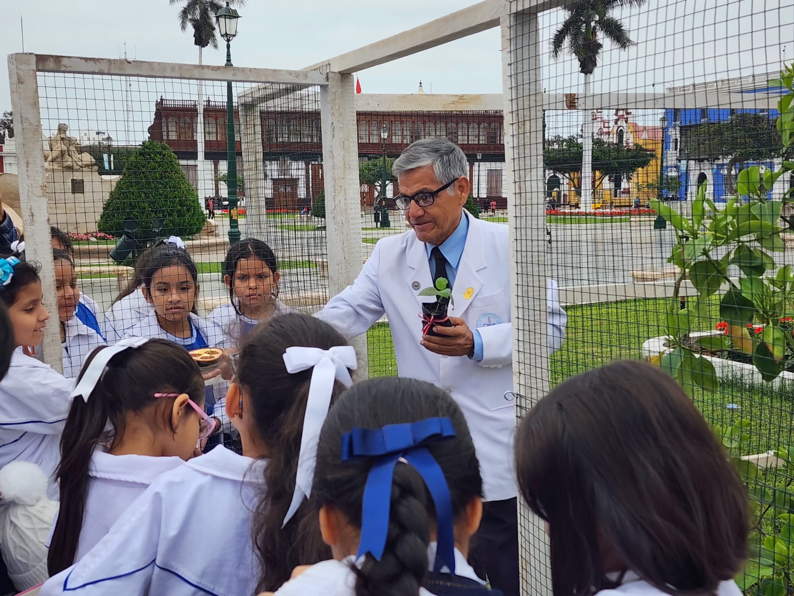 MUNICIPALIDAD BRINDA CHARLAS SOBRE ÁRBOL DE LA QUINA A ESTUDIANTES DE PRIMARIA