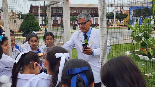 MUNICIPALIDAD BRINDA CHARLAS SOBRE ÁRBOL DE LA QUINA A ESTUDIANTES DE PRIMARIA
