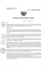 Vista preliminar de documento RD-144-2024-D-HH-MINSA