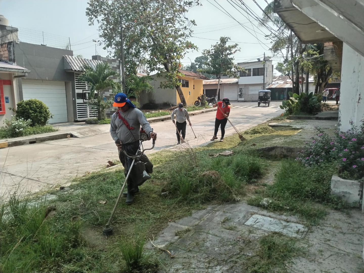 Viene llevando a cabo una serie de labores de limpieza y mantenimiento en las áreas verdes de la Urbanización Río Mar.