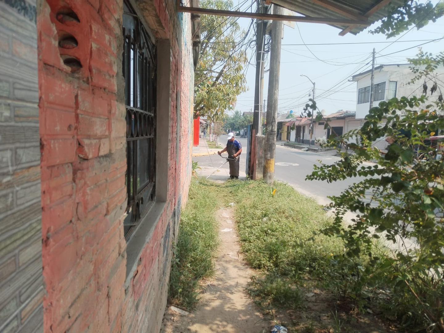 Viene llevando a cabo una serie de labores de limpieza y mantenimiento en las áreas verdes de la Urbanización Río Mar.