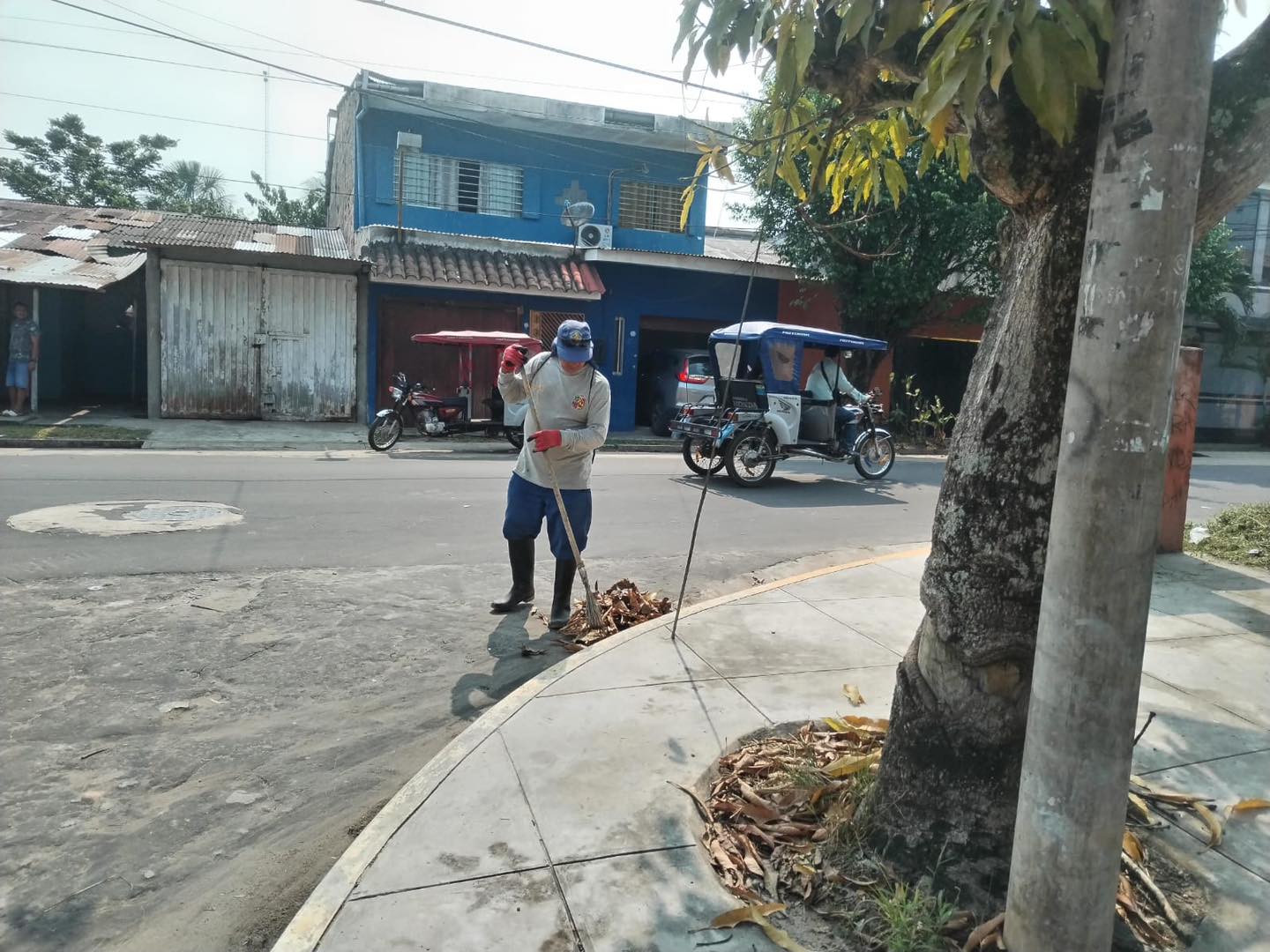 Viene llevando a cabo una serie de labores de limpieza y mantenimiento en las áreas verdes de la Urbanización Río Mar.