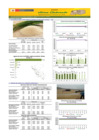 Vista preliminar de documento Boletín de abastecimiento y precio del ARROZ - 27/08/2024