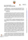 Vista preliminar de documento Resolución Subsecretaría General N.° 000081-2024-DP/SSG