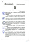 Vista preliminar de documento Resolución Directoral N207-2024-DRSL-RL-HH-SBS