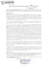 Vista preliminar de documento GTT24N054
