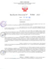 Vista preliminar de documento RD Nº001081 06-03-2023